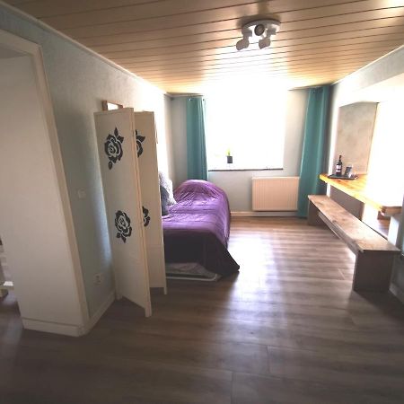 Mooi Ruim Appartement In Antieke Stadsboerderij Schonecken Bagian luar foto