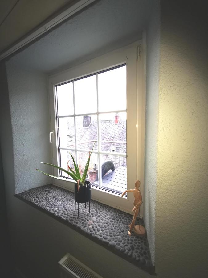 Mooi Ruim Appartement In Antieke Stadsboerderij Schonecken Bagian luar foto