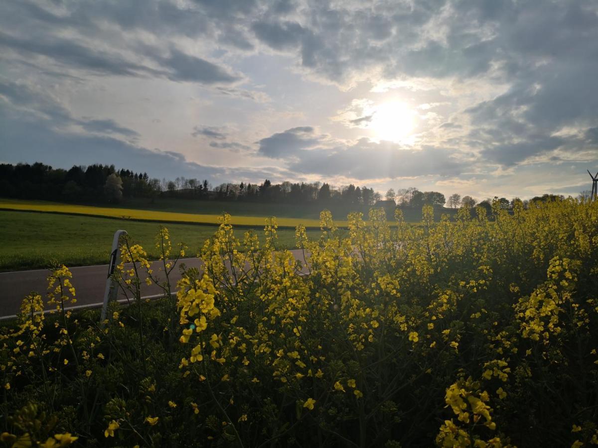 Mooi Ruim Appartement In Antieke Stadsboerderij Schonecken Bagian luar foto