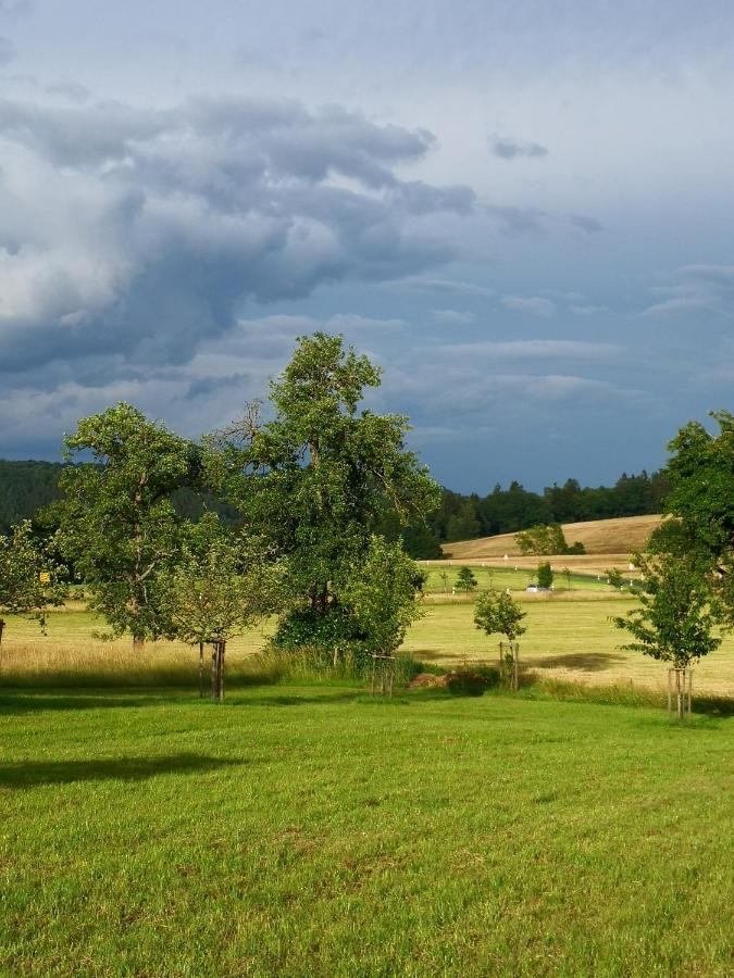 Mooi Ruim Appartement In Antieke Stadsboerderij Schonecken Bagian luar foto