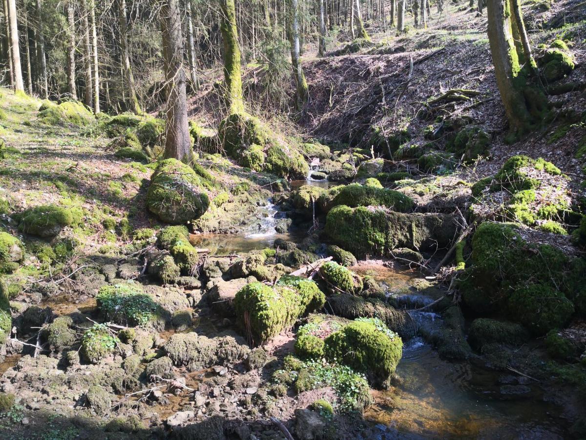 Mooi Ruim Appartement In Antieke Stadsboerderij Schonecken Bagian luar foto