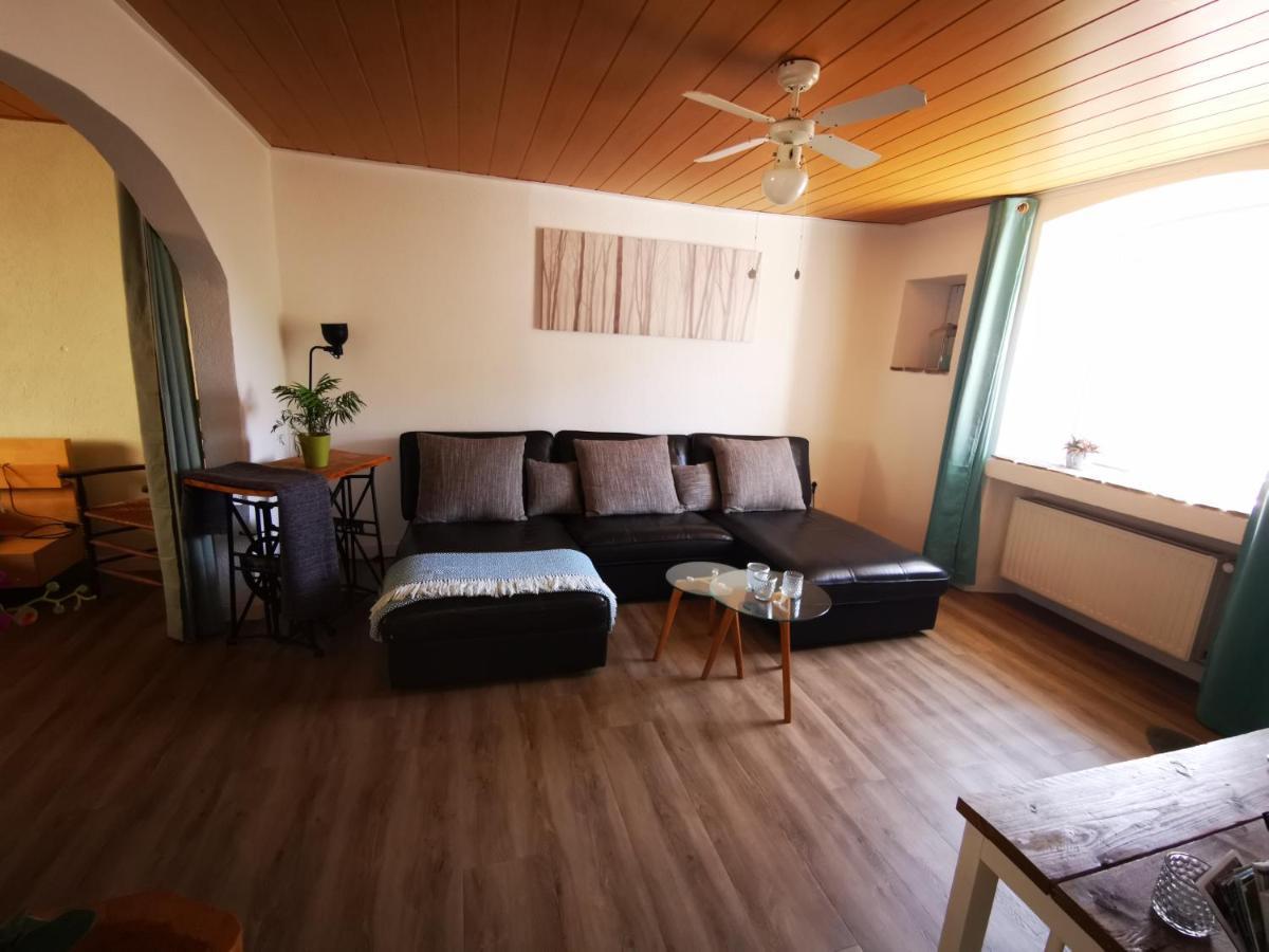 Mooi Ruim Appartement In Antieke Stadsboerderij Schonecken Bagian luar foto